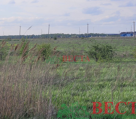 Участок, 620.00 сот., Сельхоз назначение