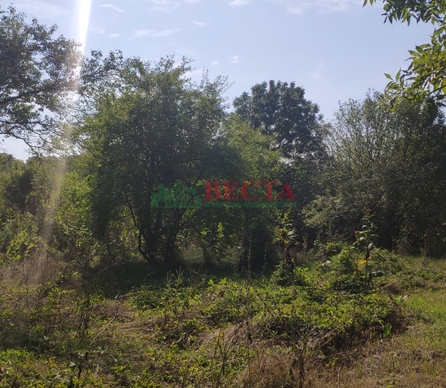 Участок, 16.00 сот., ИЖС