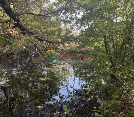Участок, 11.80 сот., ИЖС