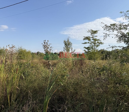 Участок, 8.07 сот., ИЖС