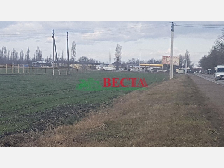 Участок, 2500.00 сот., Сельхоз назначение фото 4