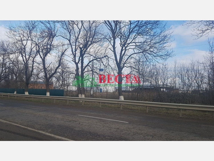 Участок, 2500.00 сот., Сельхоз назначение фото 17