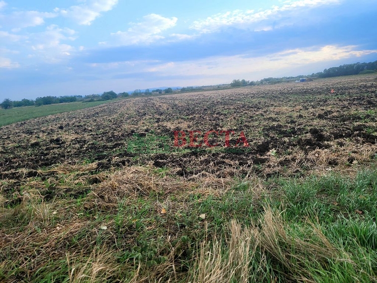 Участок, 25.00 сот., ИЖС фото 0