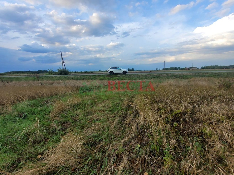 Участок, 25.00 сот., ИЖС фото 6
