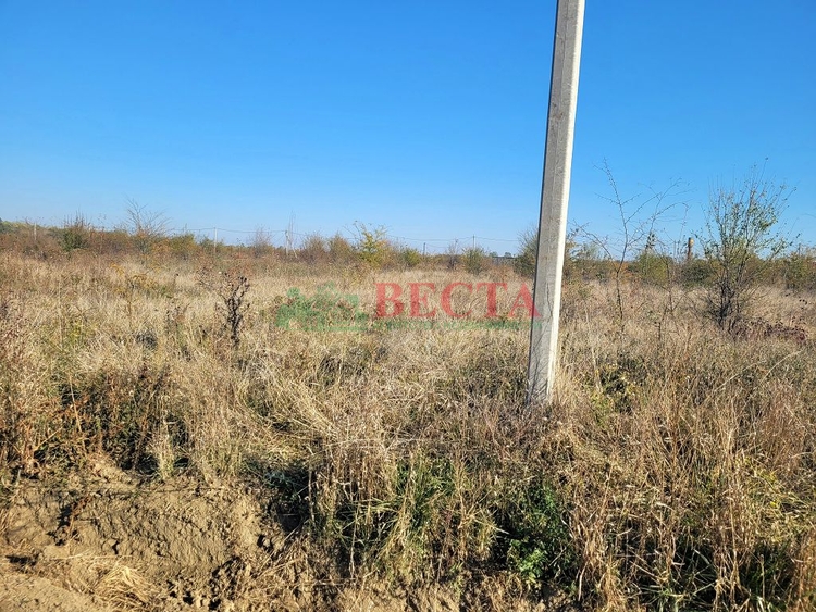 Участок, 10.00 сот., ИЖС фото 2