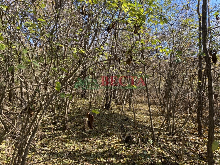Участок, 15.00 сот., ИЖС фото 1