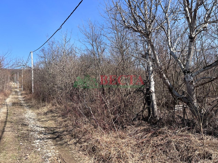 Участок, 6.00 сот., Садоводство фото 2