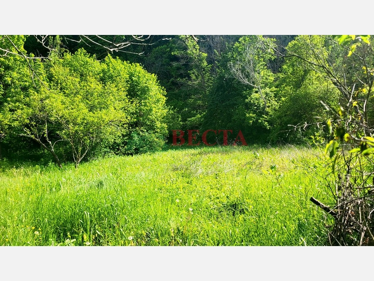 Участок, 13.57 сот., ИЖС фото 8
