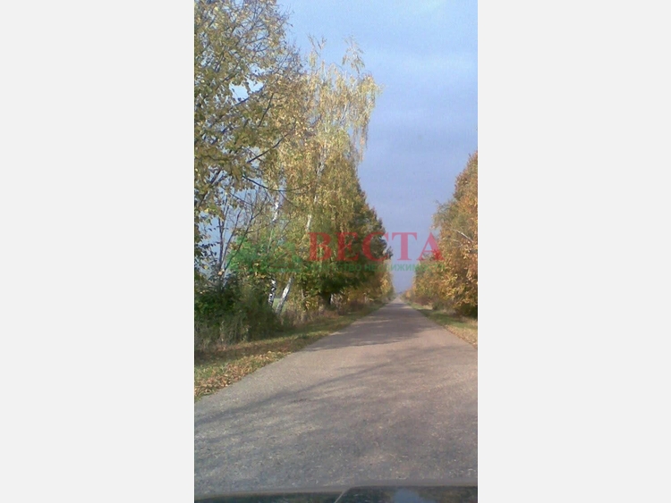 Участок, 6.00 сот., Сельхоз назначение фото 1