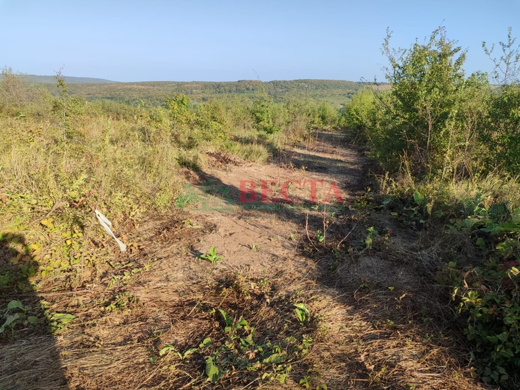 Участок, 4.00 сот., ИЖС фото 4