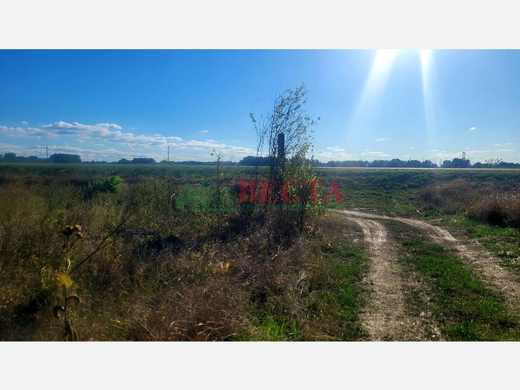 Участок, 8.00 сот., Садоводство фото 3