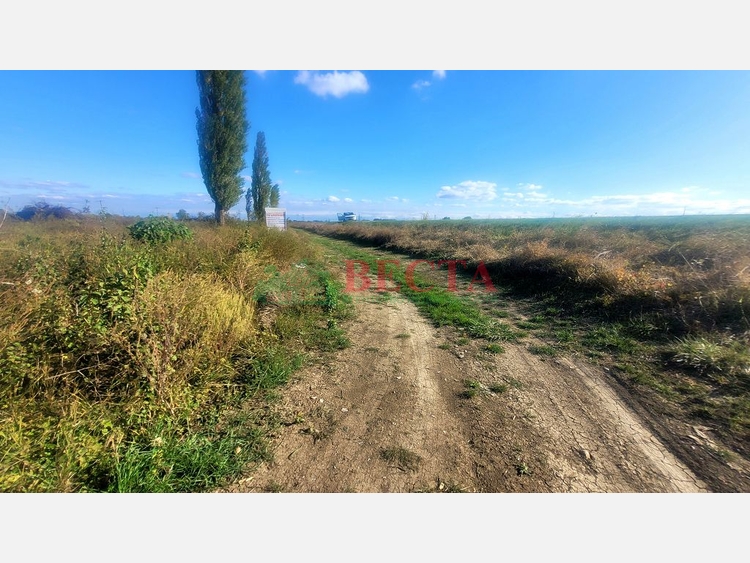Участок, 6.00 сот., Садоводство фото 1