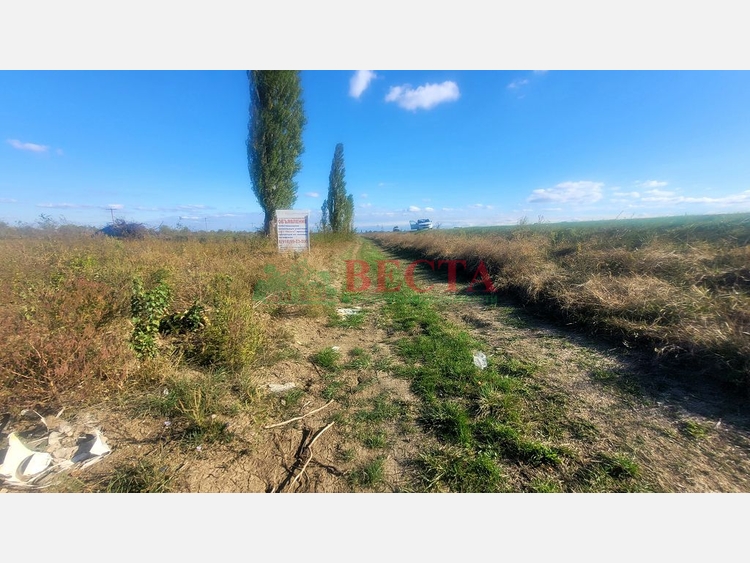 Участок, 6.00 сот., Садоводство фото 2