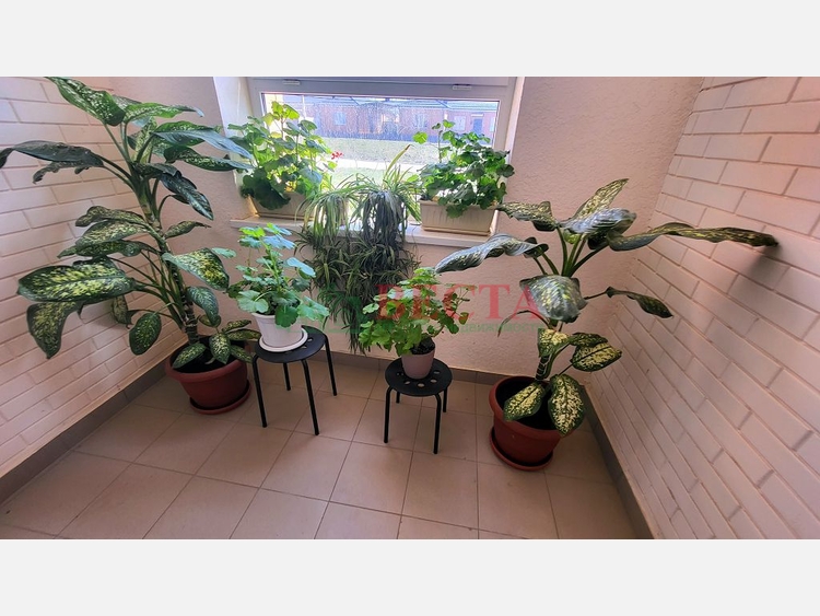 1-комнатная квартира, 25.00 м², 3/3 этаж фото 0