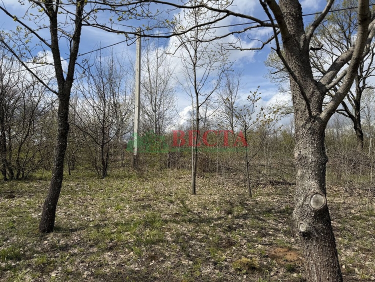 Участок, 53.00 сот., Сельхоз назначение фото 19