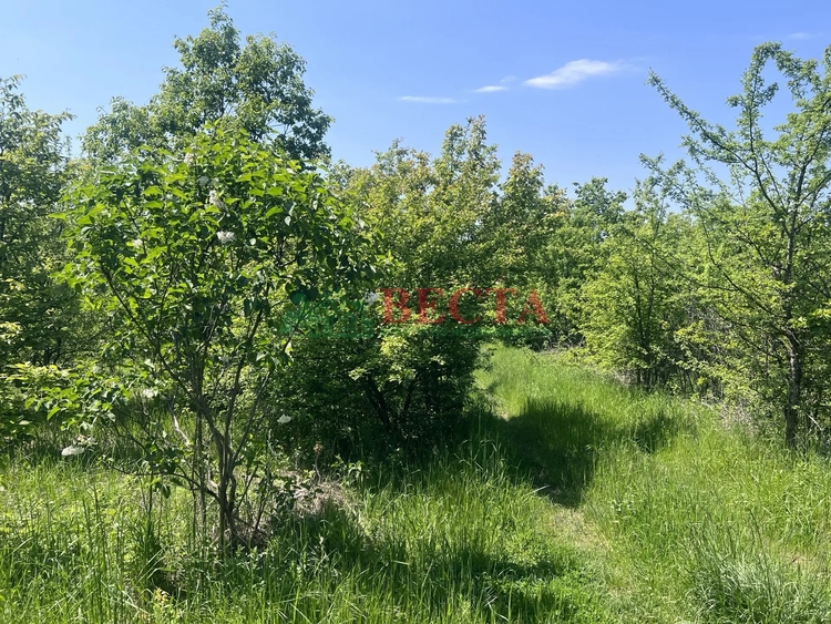 Участок, 6.00 сот., Садоводство фото 6