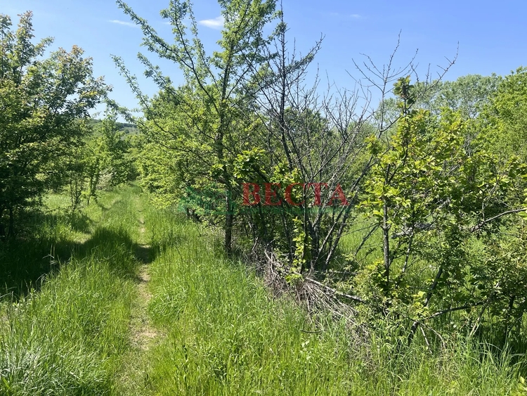 Участок, 6.00 сот., Садоводство фото 7