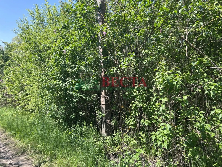 Участок, 6.00 сот., Садоводство фото 3