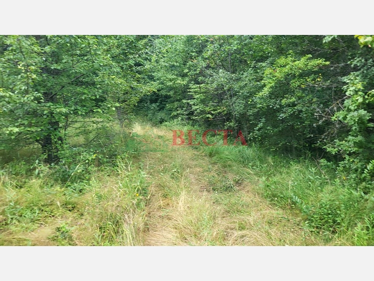 Участок, 75.35 сот., ИЖС фото 33