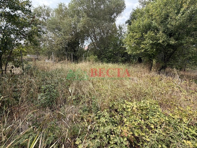 Участок, 4.50 сот., ИЖС фото 5