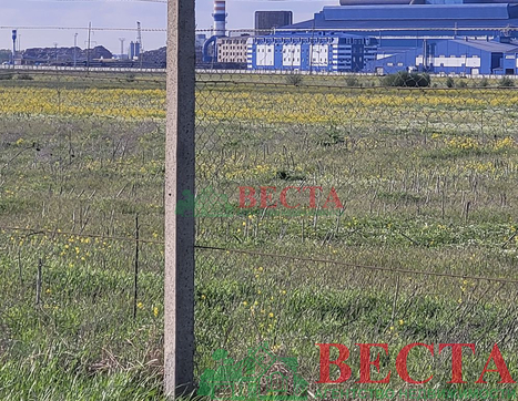 Участок фото 13