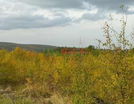 Участок фото 6