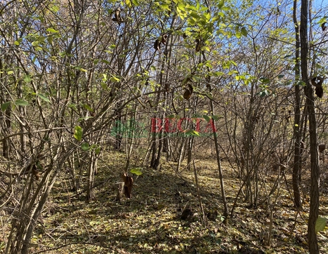Участок фото 1