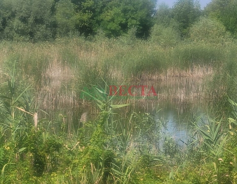 Участок фото 9