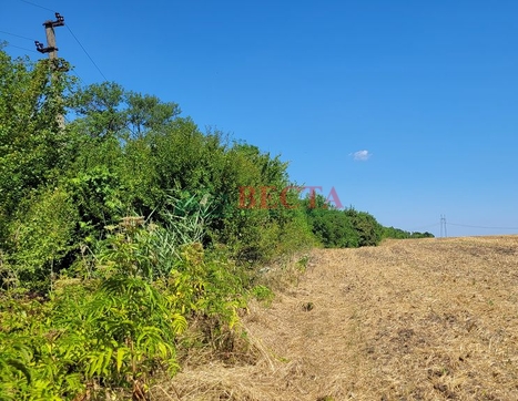 Участок фото 12