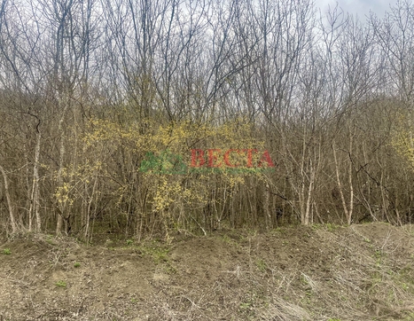 Участок фото 4