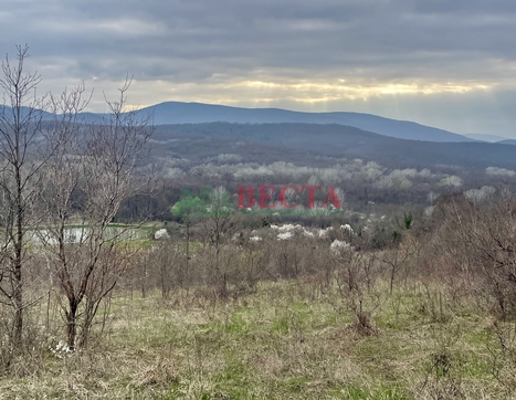Участок фото 0