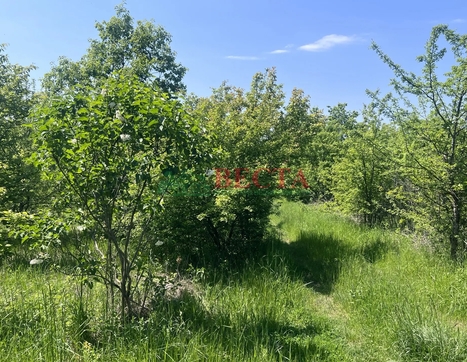 Участок фото 6