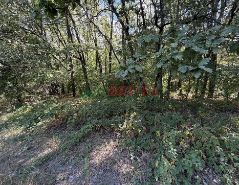 Участок фото 0