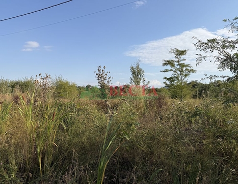 Участок фото 0