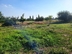 Участок фото 4