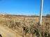 Участок фото 1