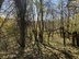 Участок фото 1