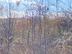 Участок фото 0