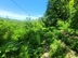 Участок фото 2