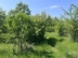 Участок фото 6