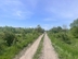 Участок фото 5