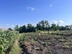 Дом фото 5