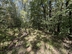 Участок фото 1