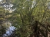 Участок фото 1