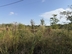 Участок фото 0