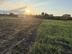 Участок фото 3