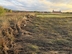 Участок фото 7